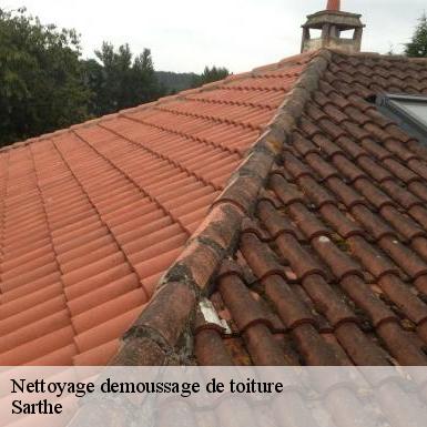 Nettoyage demoussage de toiture Sarthe 