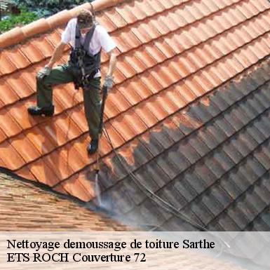 Nettoyage demoussage de toiture Sarthe 