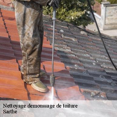 Nettoyage demoussage de toiture Sarthe 