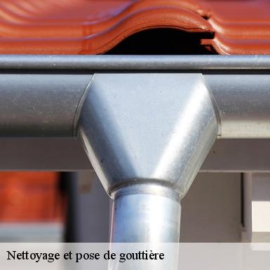 Nettoyage et pose de gouttière Sarthe 