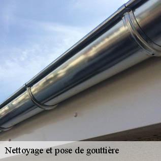 Nettoyage et pose de gouttière Sarthe 