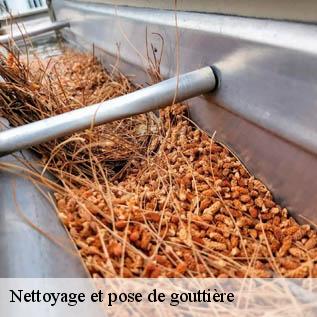 Nettoyage et pose de gouttière Sarthe 