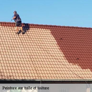 Peinture sur tuile et toiture Sarthe 