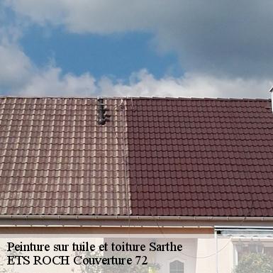 Peinture sur tuile et toiture Sarthe 