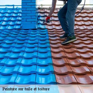 Peinture sur tuile et toiture Sarthe 