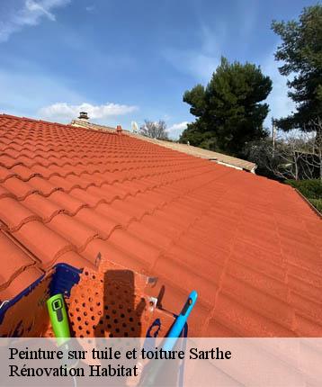 Peinture sur tuile et toiture 72 Sarthe  Rénovation Habitat 