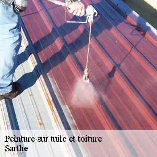 Peinture sur tuile et toiture Sarthe 
