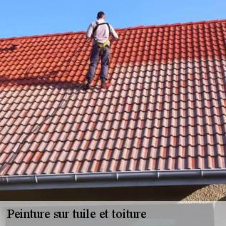 Peinture sur tuile et toiture Sarthe 