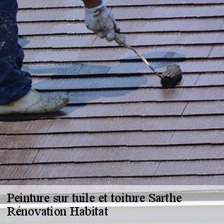 Peinture sur tuile et toiture Sarthe 