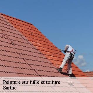 Peinture sur tuile et toiture Sarthe 