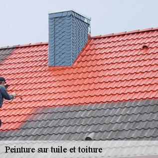 Peinture sur tuile et toiture Sarthe 