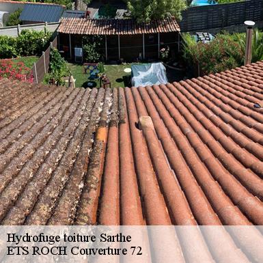 Hydrofuge toiture Sarthe 