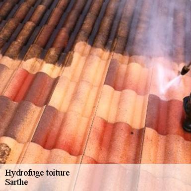 Hydrofuge toiture Sarthe 