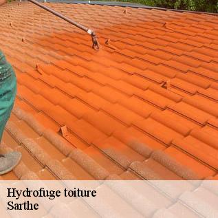 Hydrofuge toiture Sarthe 