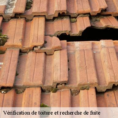 Vérification de toiture et recherche de fuite Sarthe 