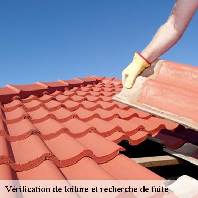 Vérification de toiture et recherche de fuite Sarthe 