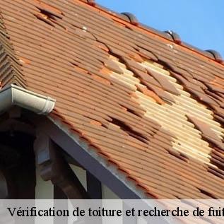 Vérification de toiture et recherche de fuite Sarthe 