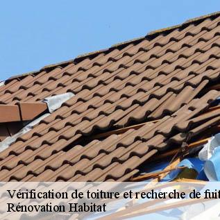 Vérification de toiture et recherche de fuite Sarthe 