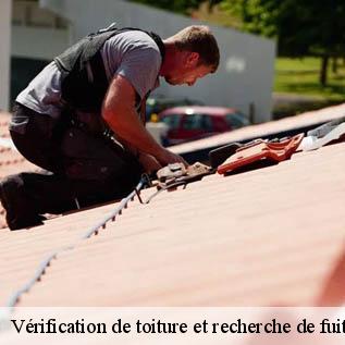 Vérification de toiture et recherche de fuite Sarthe 