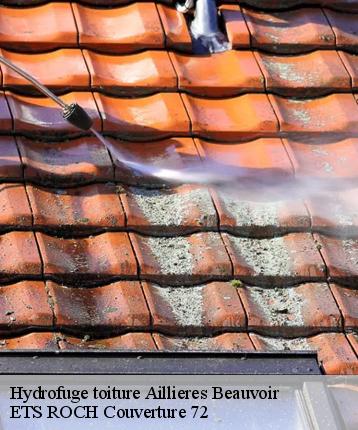 Hydrofuge toiture  aillieres-beauvoir-72600 ETS ROCH Couverture 72