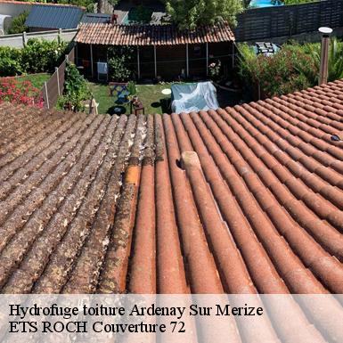 Hydrofuge toiture  72370