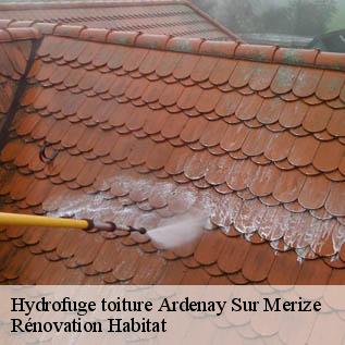 Hydrofuge toiture  72370