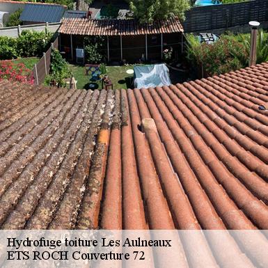 Hydrofuge toiture  72670