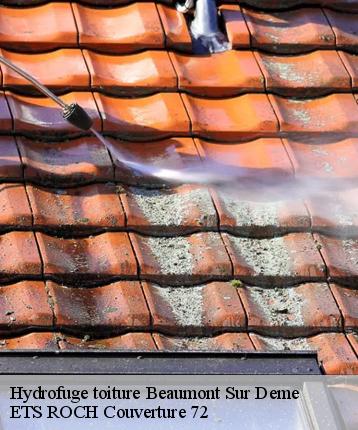 Hydrofuge toiture  beaumont-sur-deme-72340 ETS ROCH Couverture 72
