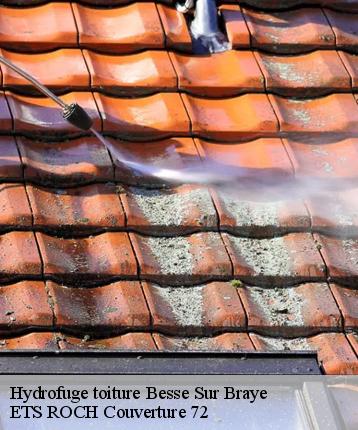Hydrofuge toiture  besse-sur-braye-72310 ETS ROCH Couverture 72