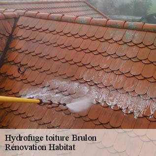Hydrofuge toiture  72350