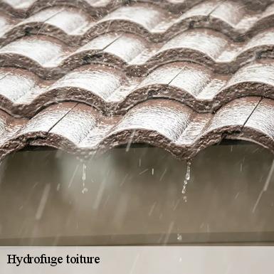 Hydrofuge toiture  72250