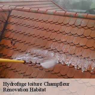 Hydrofuge toiture  72610