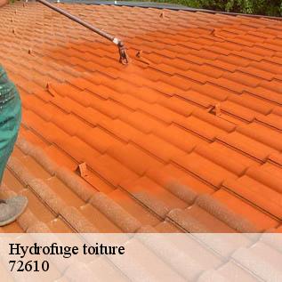 Hydrofuge toiture  72610
