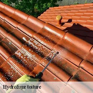 Hydrofuge toiture  72610