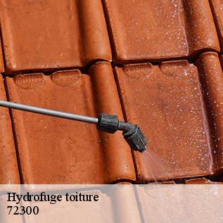 Hydrofuge toiture  72300