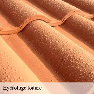 Hydrofuge toiture  72300