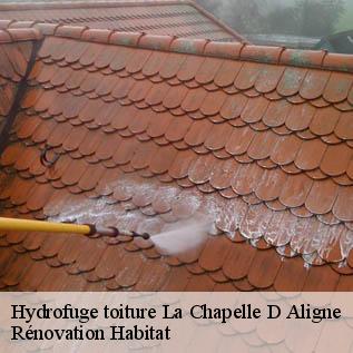 Hydrofuge toiture  72300