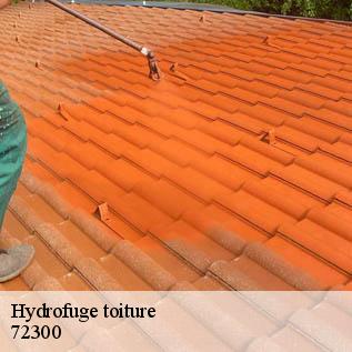 Hydrofuge toiture  72300