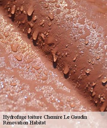 Hydrofuge toiture  chemire-le-gaudin-72210 Rénovation Habitat 