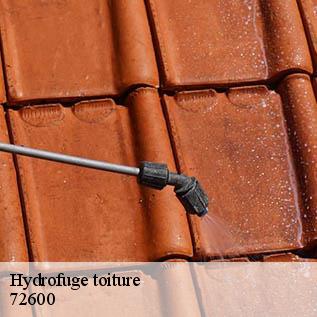 Hydrofuge toiture  72600