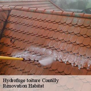 Hydrofuge toiture  72600