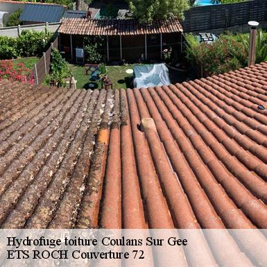 Hydrofuge toiture  72550