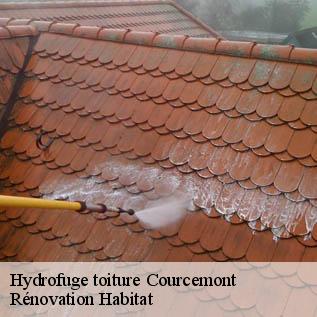 Hydrofuge toiture  72110