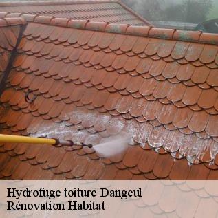 Hydrofuge toiture  72260