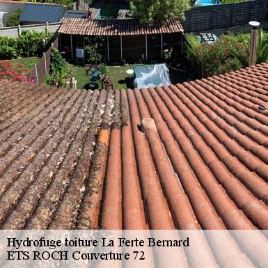 Hydrofuge toiture  72400