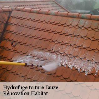 Hydrofuge toiture  72110