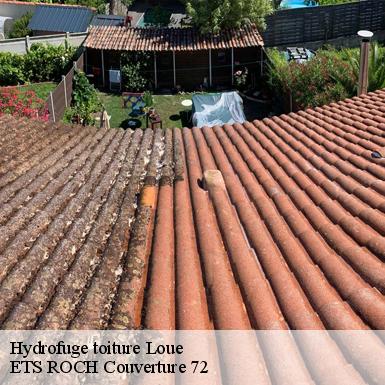 Hydrofuge toiture  72540