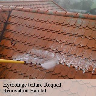 Hydrofuge toiture  72510