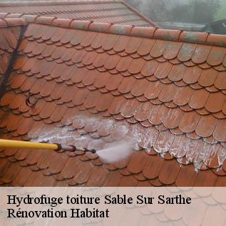 Hydrofuge toiture  72300