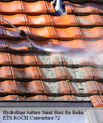 Hydrofuge toiture  saint-biez-en-belin-72220 ETS ROCH Couverture 72